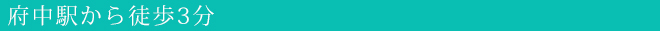府中駅から徒歩3分